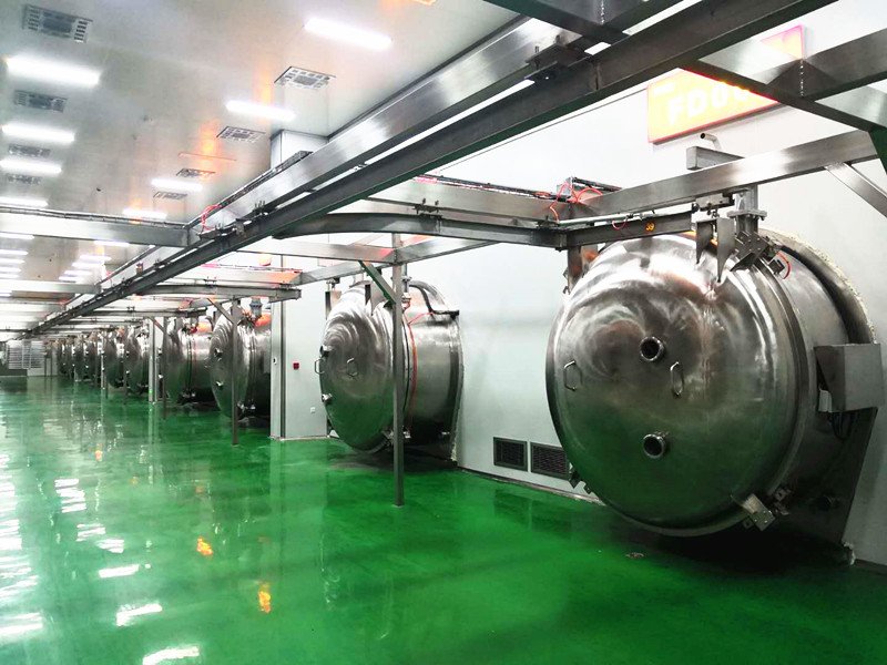 Freeze-Dried Fruit & Vegetable Factory equipment and production reference