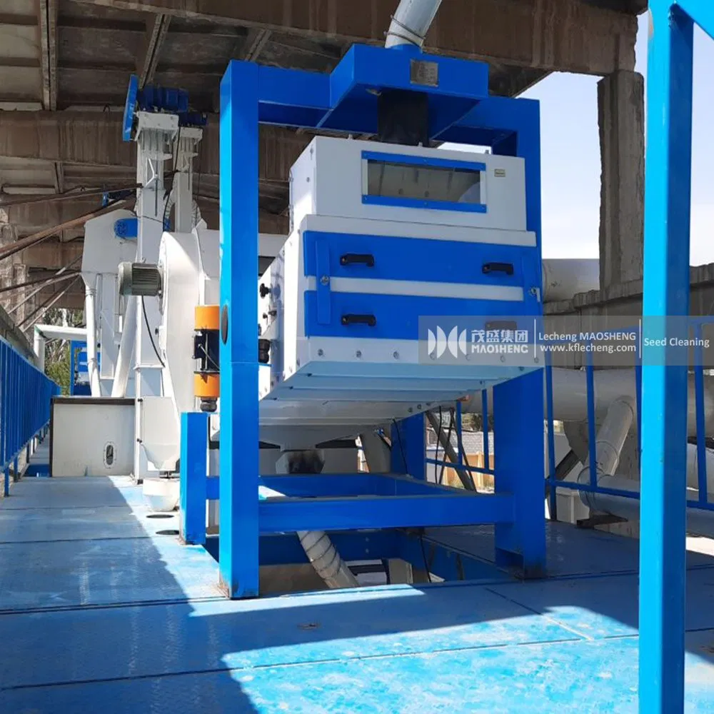 Lentil Cleaning & Grading Line industrial reference