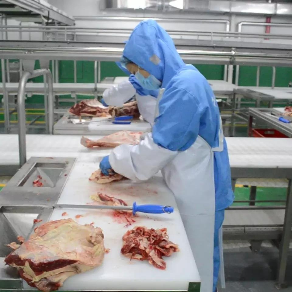 Meat Cutting & Vacuum Packaging Line equipment and production reference