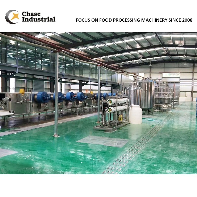 Tomato Powder Production Line equipment and production reference
